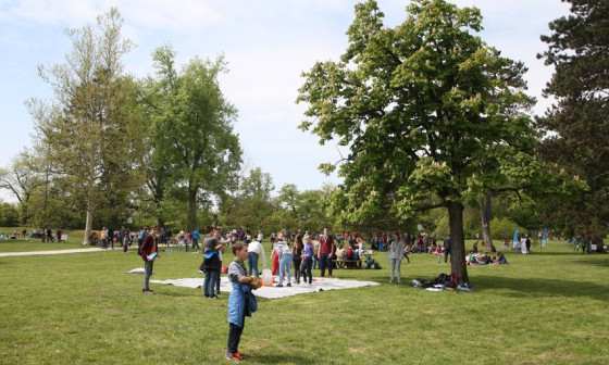 taborniski festival 