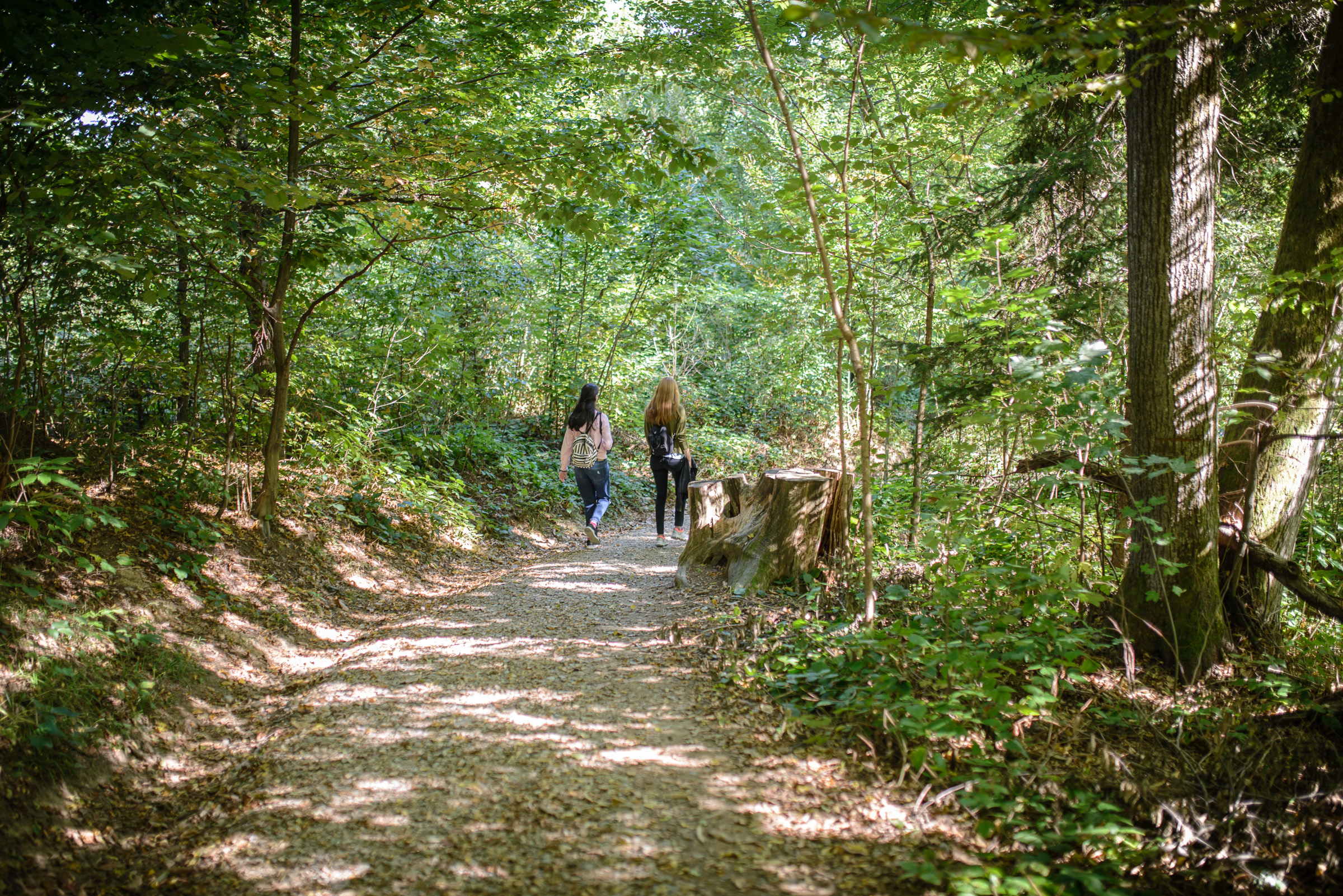 200410 Nova pot na Rožnik foto Artinfoto.si vir arhiv JP VOKA Snaga (12)