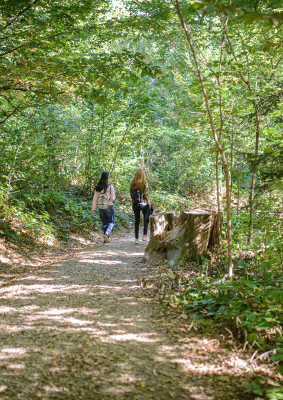 200410 Nova pot na Rožnik foto Artinfoto.si vir arhiv JP VOKA Snaga (12)