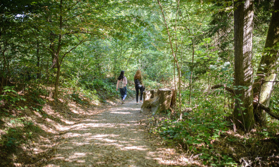 200410 Nova pot na Rožnik foto Artinfoto.si vir arhiv JP VOKA Snaga (12)