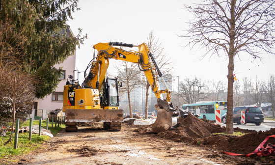 Presaditev dreves iz Linhartove v Šmartinski park foto Nino Kolarev (1)