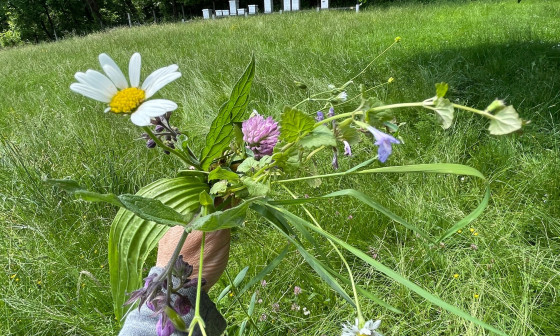 Biodiverziteta