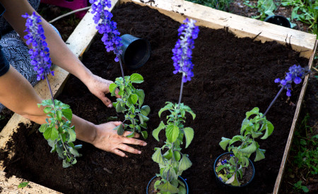 190622 Urejanje gozd prebivalci vrt mescan foto Nejc Trampuž vir IPOP PRostoroz (17)