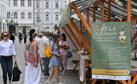 Stojnice ob svetovnem dnevu čebel in obiskovalci