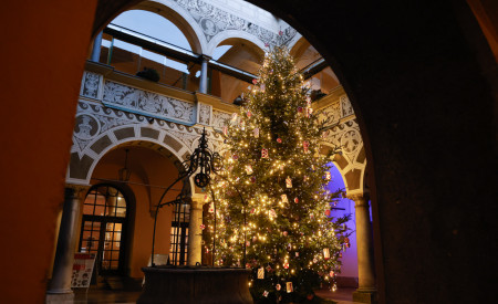 Novoletna jelka v Mestni hiši, december 2024, foto: Nik Rovan