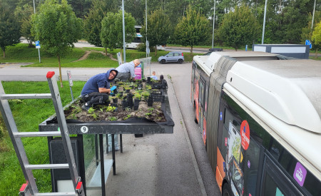 Ozelenjevanje nadstrešnic leta 2025