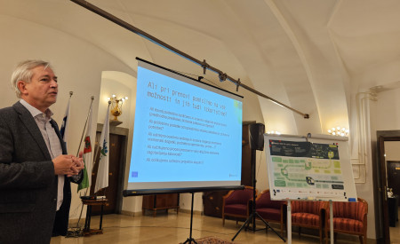 predavatelj stoji pred zaslonom 