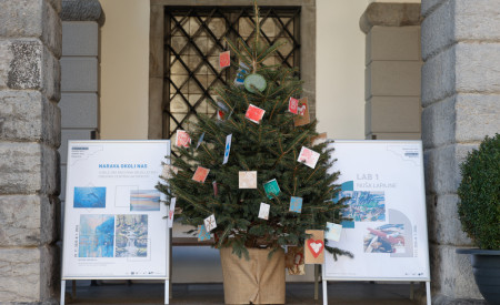 20251127 zelena drevesa nrovan 004