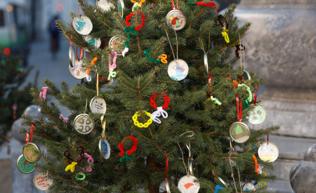 20251127 zelena drevesa nrovan 008