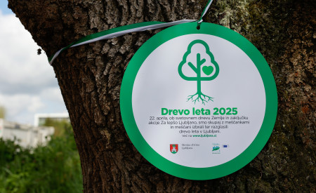 na drevo je obešena okrogla zeleno-bela plaketa z napisom drevo leta 2025