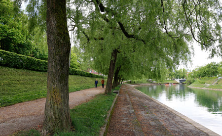 sprehod ob drevoredu leta 2025