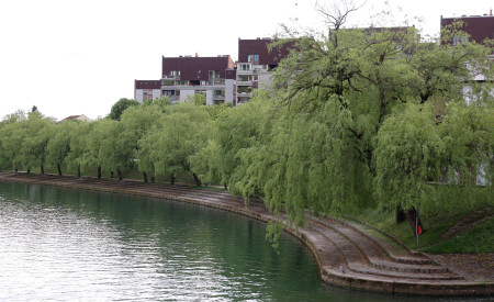 pogled na veduto drevoreda leta 2025, veduta obsega tudi reko Ljubljanico