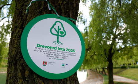 okrogla zeleno-bela plaketa z imenom drevored leta 2025