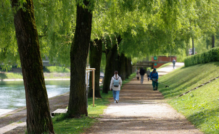 pogled na drevored leta 2025