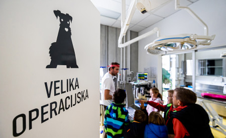 Velika operacijska soba zavetišča