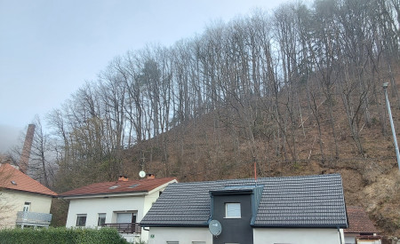Nevarno drevje na strmi brežini nad Dolenjsko cesto
