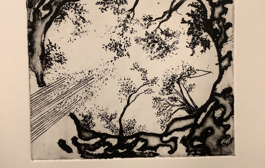 Alenka Lamovec razstava 1