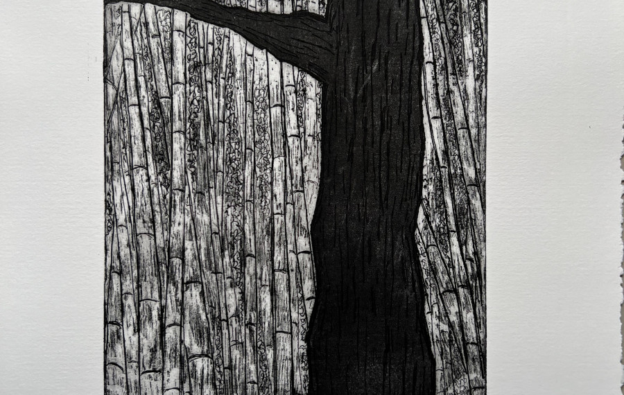 Alenka Lamovec razstava 2