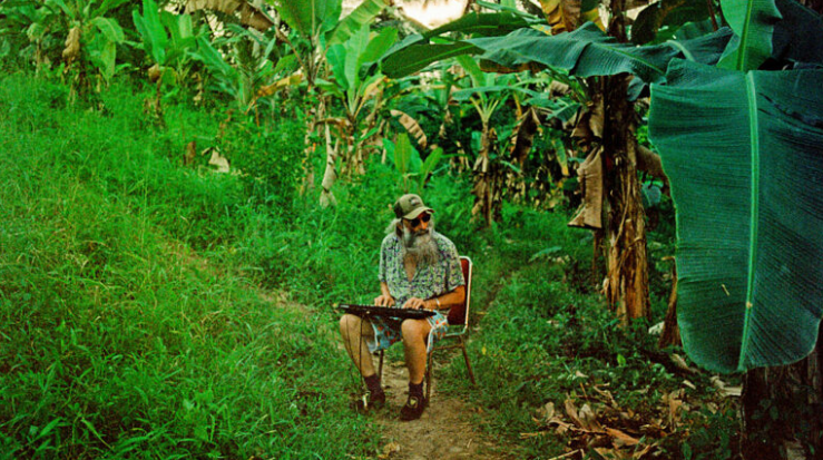 Ellis Park, vir: Kinodvor