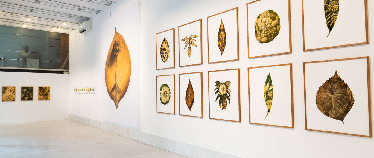 Galerija Kresija Tylen Mucik©Kaja Brezočnik arhiv MOL 1