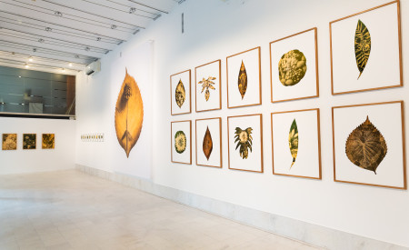 Galerija Kresija Tylen Mucik©Kaja Brezočnik arhiv MOL 