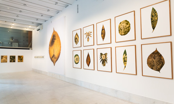 Galerija Kresija Tylen Mucik©Kaja Brezočnik arhiv MOL 1