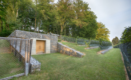 Grajski vinograd2. Foto Miha Mally 1