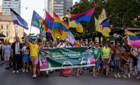 Parada ponosa