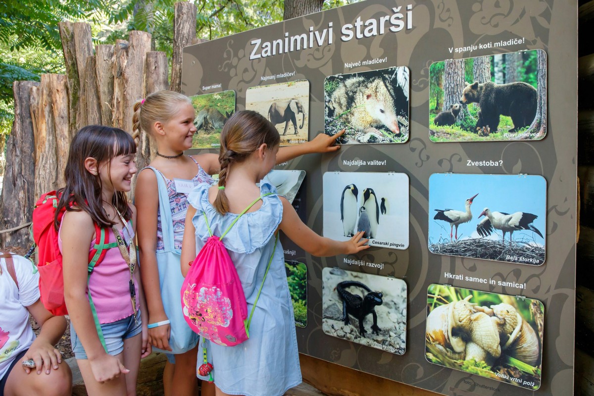 Otroci spoznavajo živalski svet v ZOO Ljubljana