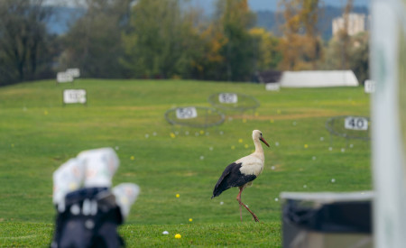 XOD foto MarkoPleterski PRESS Ljubljana igra golf 98