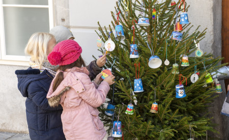 Eno izmed zelenih dreves, ki jih bomo vrnili v naravo. Foto: Turizem Ljubljana