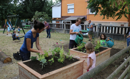 Zunaj rojcev medni vrt 4