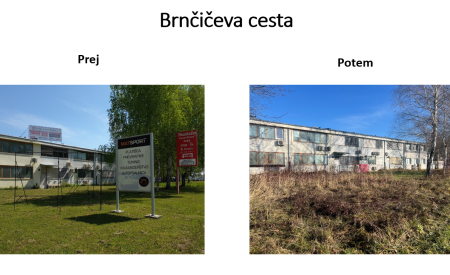 brnčičeva1