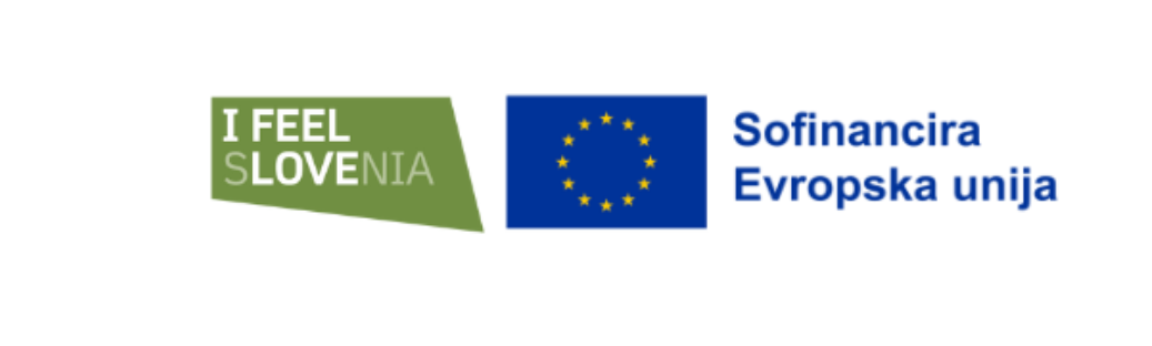 logo i feel eu