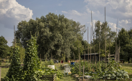 mol vrticki urska boljkovac (15)