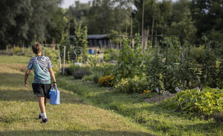mol vrticki urska boljkovac (50)