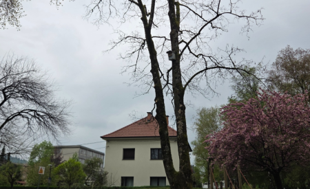 park vita kreigherja1