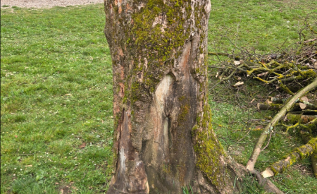 park vita kreigherja