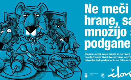 podgane