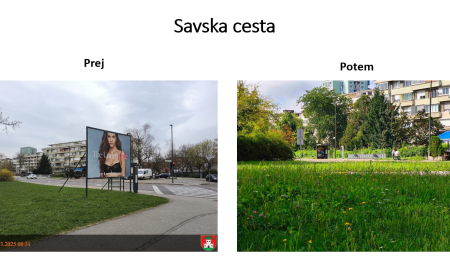 savska