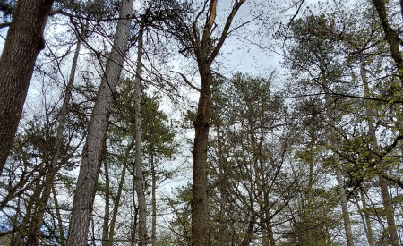 sušica posek tel.orodja