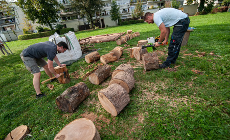 travnik Koseze[Zunaj2021] foto(C)Luka Vidic 006a