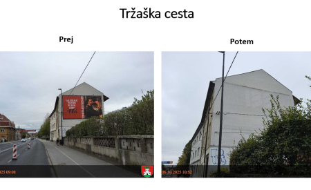 tržaška