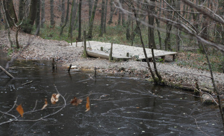 Gozdni kotiček: Rakovnik