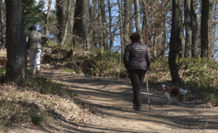 sprehod po Rakovniku