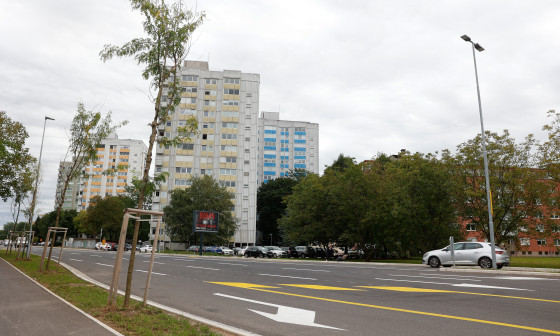 Linhartova cesta