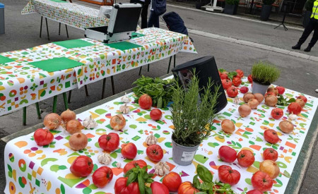 miza, na kateri so razporejeni paradižniki