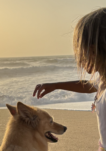 Potopisno predavanje