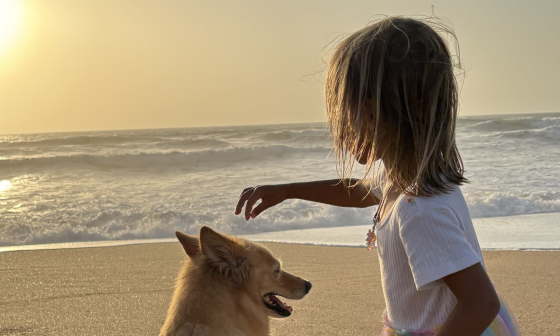 Potopisno predavanje