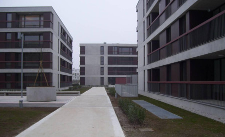 Polje II, foto: JSS MOL